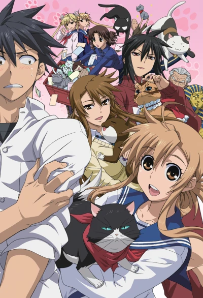Anime: Nyan Koi!