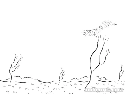 Captures d’écran [368341]