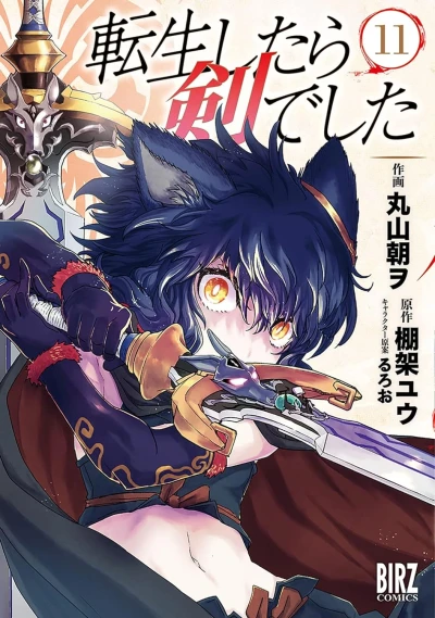 転生したら剣でした - 第11巻