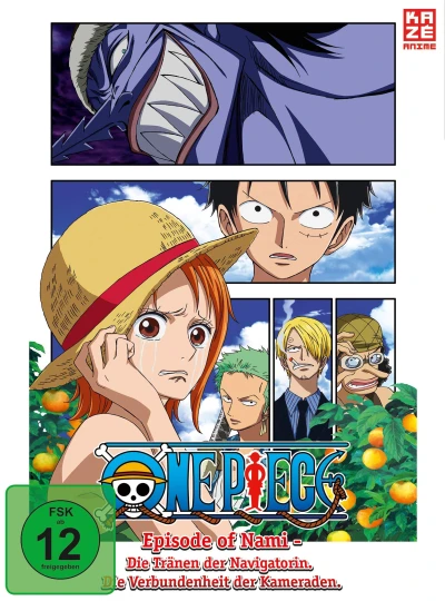 One Piece: Episode of Nami