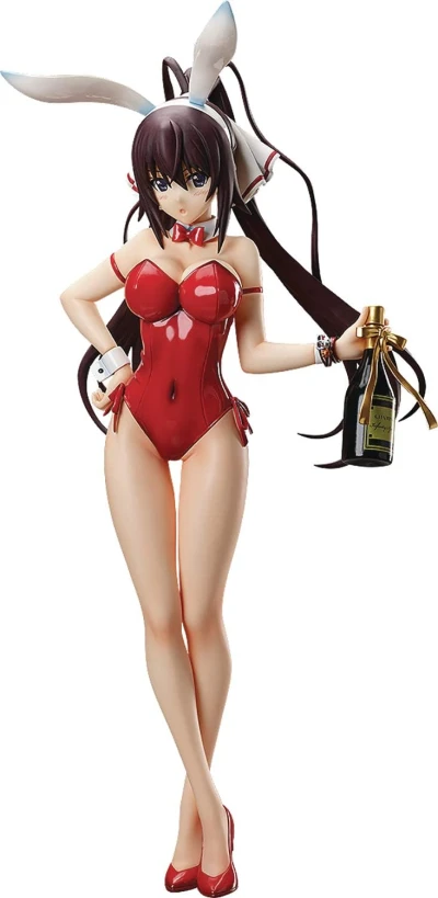 Infinite Stratos - Figur: Houki Shinonono (Bunny Costume)