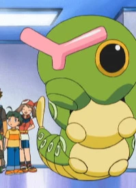 Caterpie