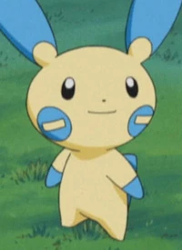 Minun