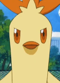 Wakashamo