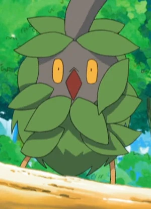 Minomucchi