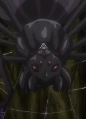 Trickster Spider