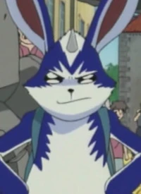 Parusukohn
