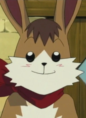 Ham