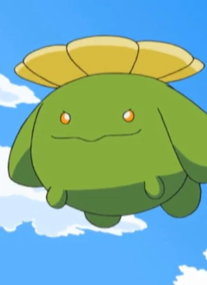Popokko