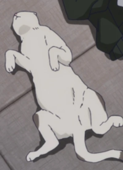 Neko