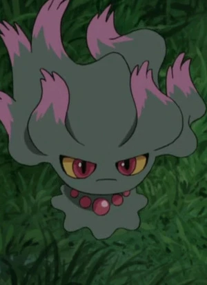 Muuma