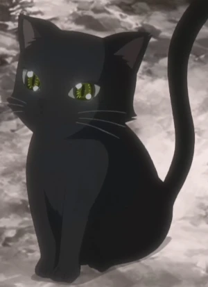 Kuro Neko