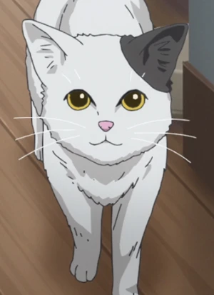 Udon
