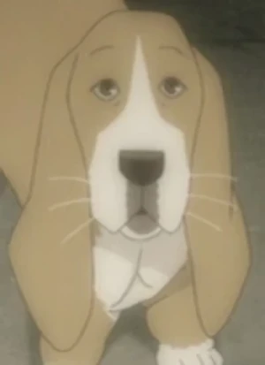 Caractère: Sasakura's Dog