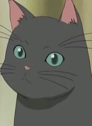 Caractère: Suzuko's Cat