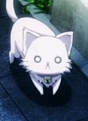 Caractère: Neko  [Cat Form]