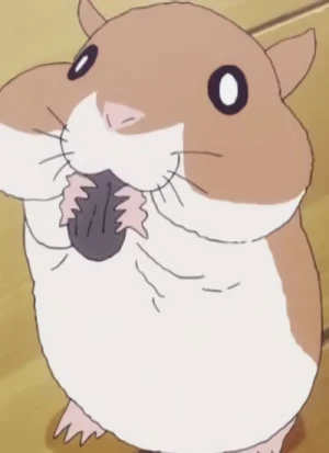 Caractère: Hamster