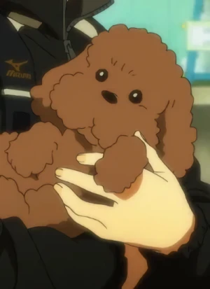 Victor