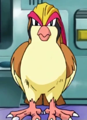 Pidgeott