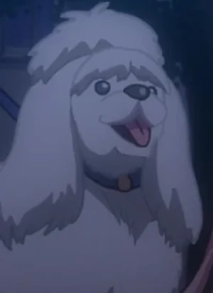 Inu