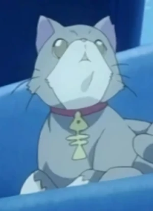 Niboshi