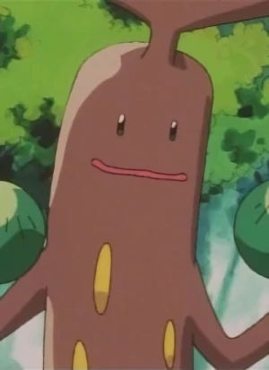 Usokkie