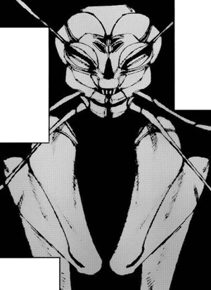 Page de couverture [13X7]