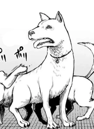 Page de couverture [1GMX]