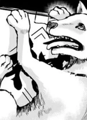 Page de couverture [3LFM]