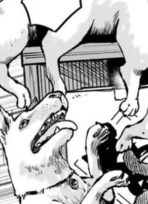 Page de couverture [FA34]