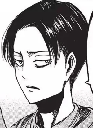 Levi