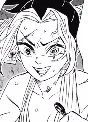 Page de couverture [RZDT]