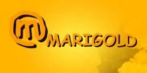 Société: Marigold Co., Ltd.