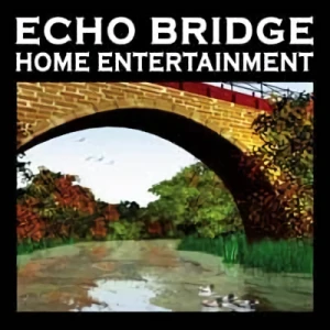 Société: Echo Bridge Acquisition Corp. LLC