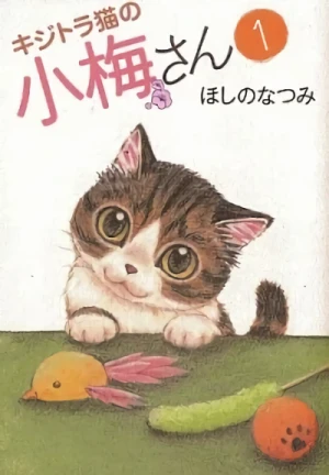 Manga: Plum: un amour de chat