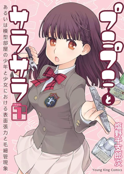 Manga: Punipuni to Sarasara: Aruiwa Mokeibeya no Shounen to Shoujo ni Okeru Hyoumen Chouryoku to Mousaikan Genshou