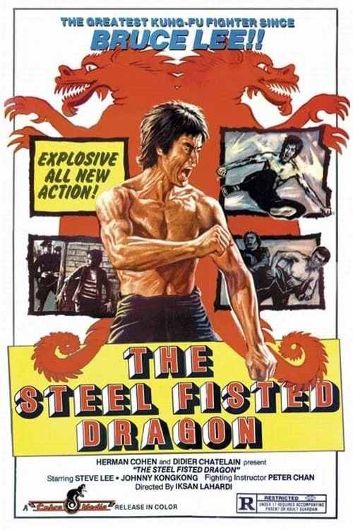 Film: Steel-Fisted Dragon