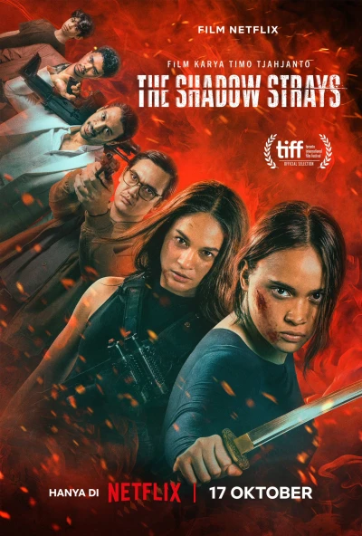 Film: The Shadow Strays