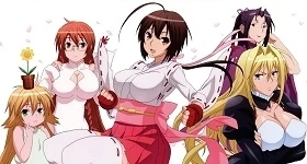Nouvelles: „Sekirei“-Anime erhält DVD-Gesamtausgabe