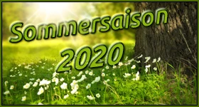 Nouvelles: Simulcast-Übersicht Sommer 2020