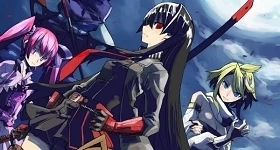 Nouvelles: „Akame ga Kill!“-Manga geht in den letzten Story-Arc